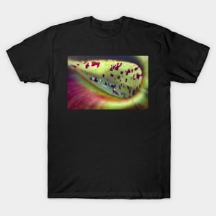 Colorful carnivorous plant T-Shirt